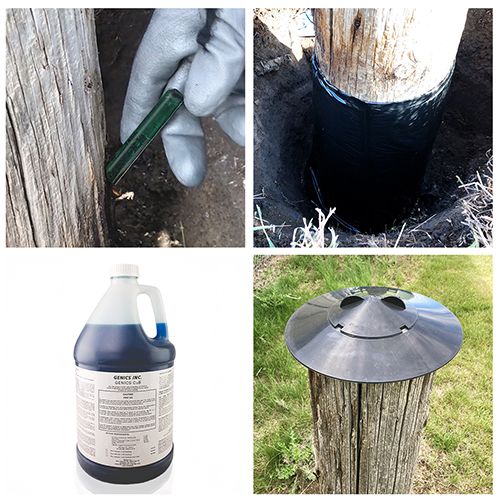 Genics Pole preservation