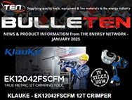 TEN Group BulleTEN January 2025