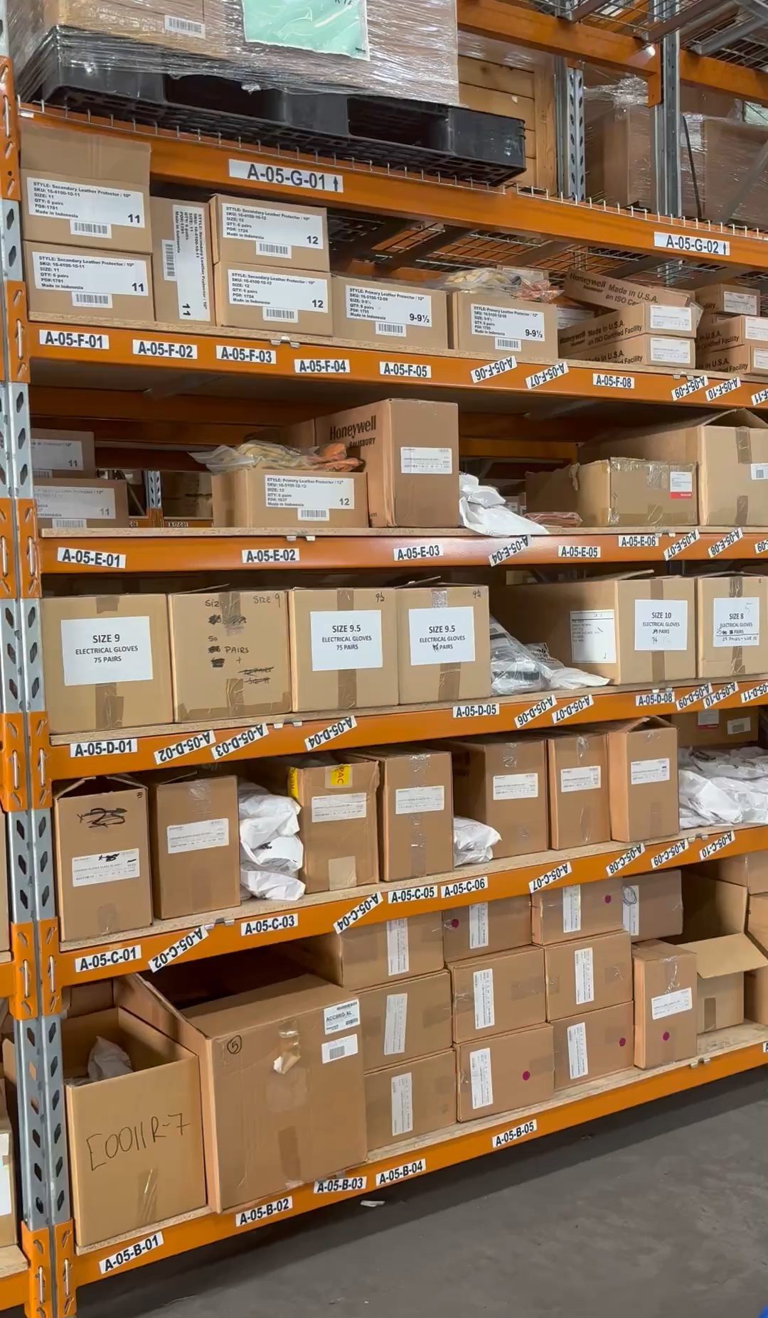 TEN becomes the exclusive Australian importer and distributor for ...
